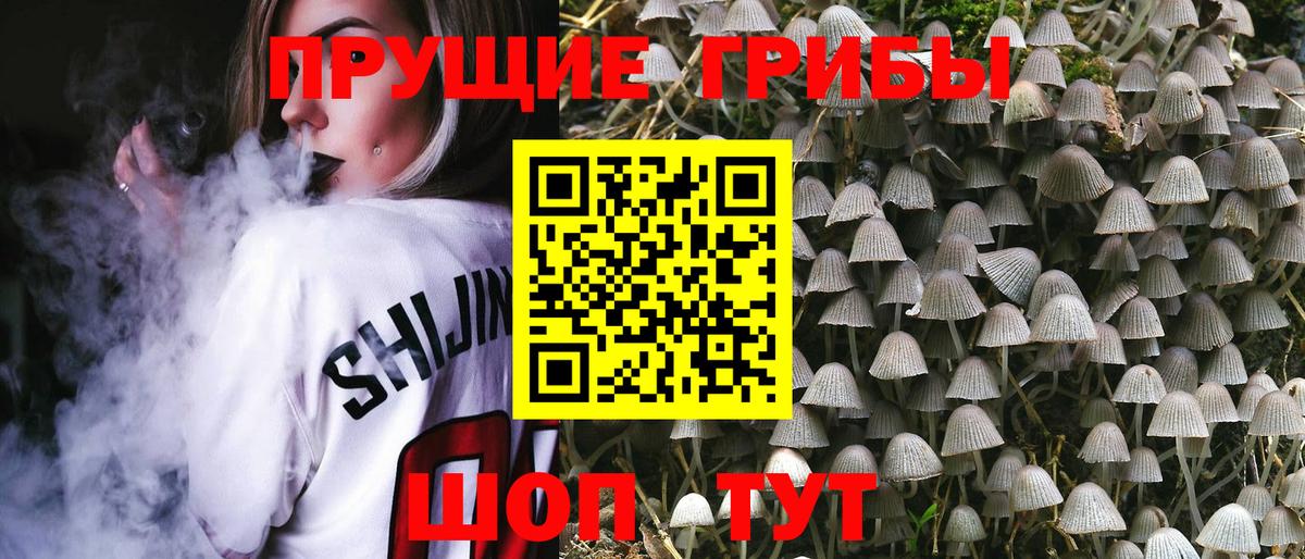 Ейск  Галлюциногенные грибы мицелий  Вход с VPN 