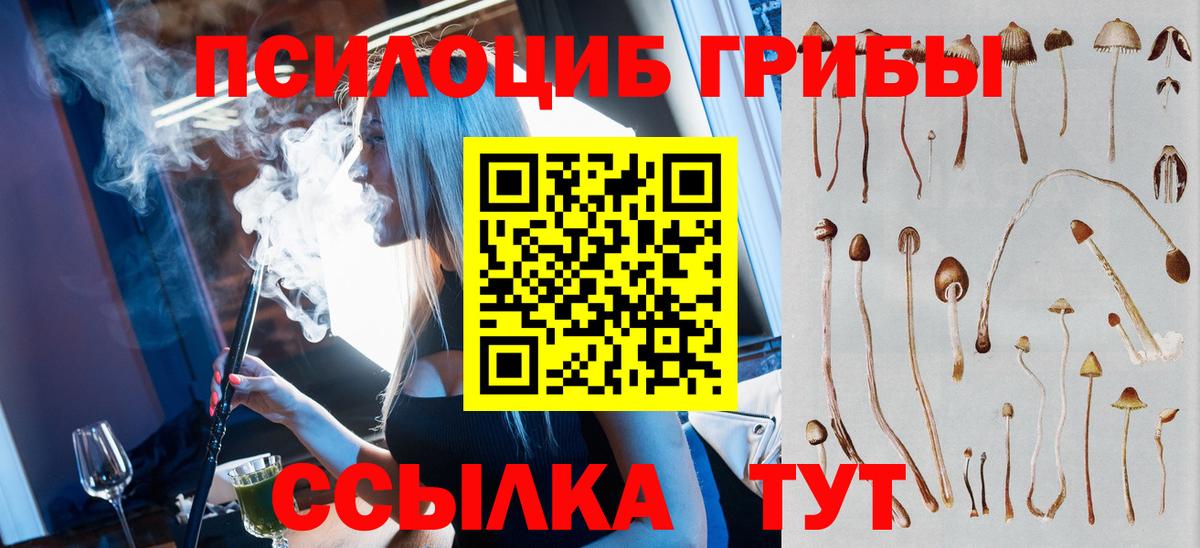 Псилоцибиновые грибы MAGIC MUSHROOMS Ейск