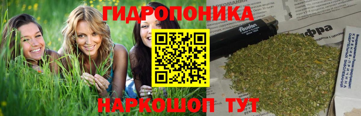 Ейск  Каннабис индика  Вход с VPN  Каннабис White Widow  МАРИХУАНА ГИДРОПОН 